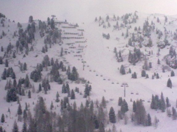 20100307229.jpg