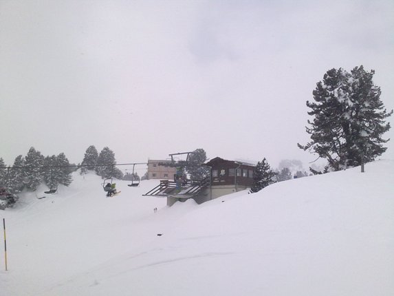 20100311303.jpg